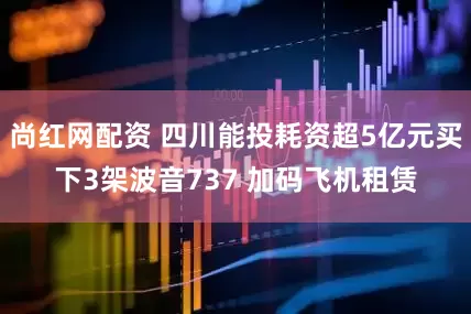 尚红网配资 四川能投耗资超5亿元买下3架波音737 加码飞机租赁