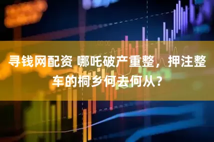 寻钱网配资 哪吒破产重整，押注整车的桐乡何去何从？